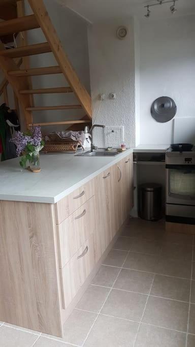 Beau Duplex Lumineux A La Montagne Nice Flat Just Underneath Mtblanc Les Houches Exterior photo
